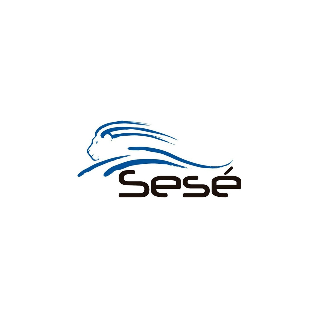 Grupo-Sesé