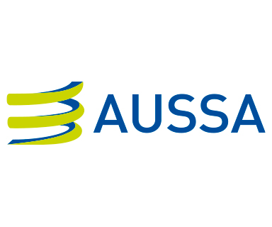 aussa-proyecto-talento